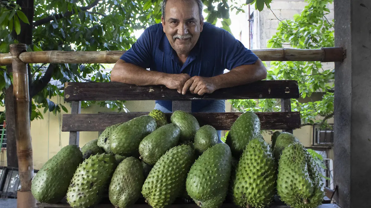 Ing. Bruno con una tanda de guanábanas maduras